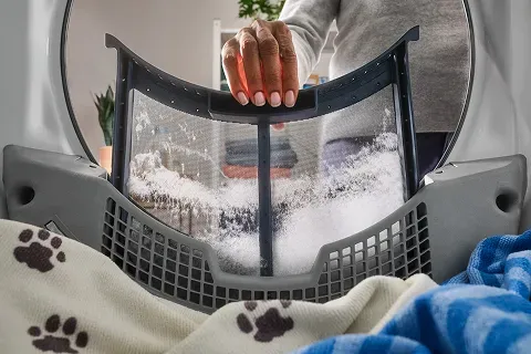 dryer-solutions-for-pet-hair